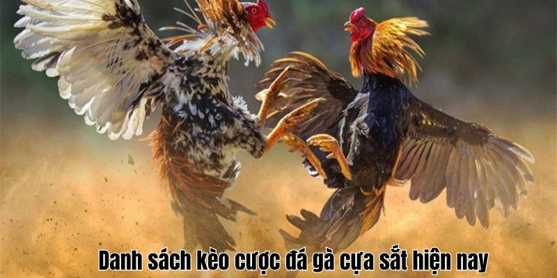 Danh sách kèo cược đá gà cựa sắt hiện nay 